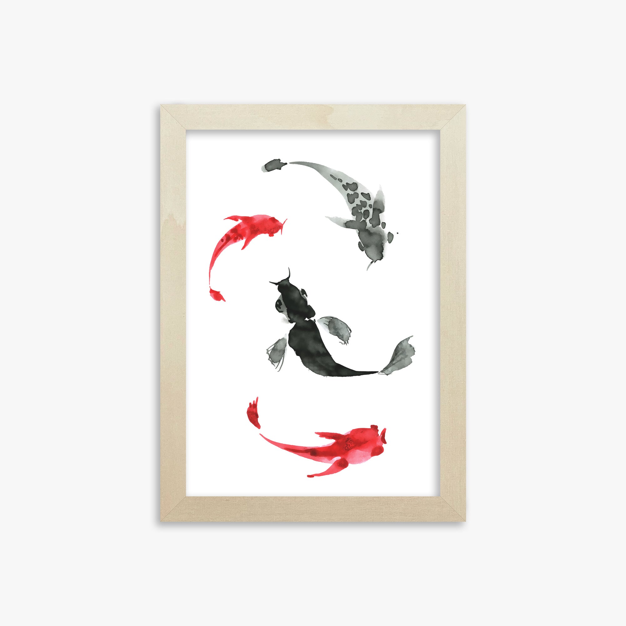Koi Circling, 21x30cm Framed Poster With Lime Wood Frame