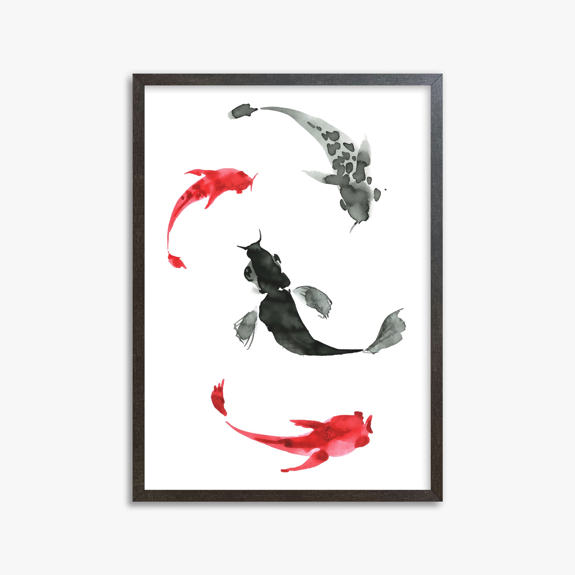 Koi Circling, 50x70cm Framed Poster With Espresso Frame