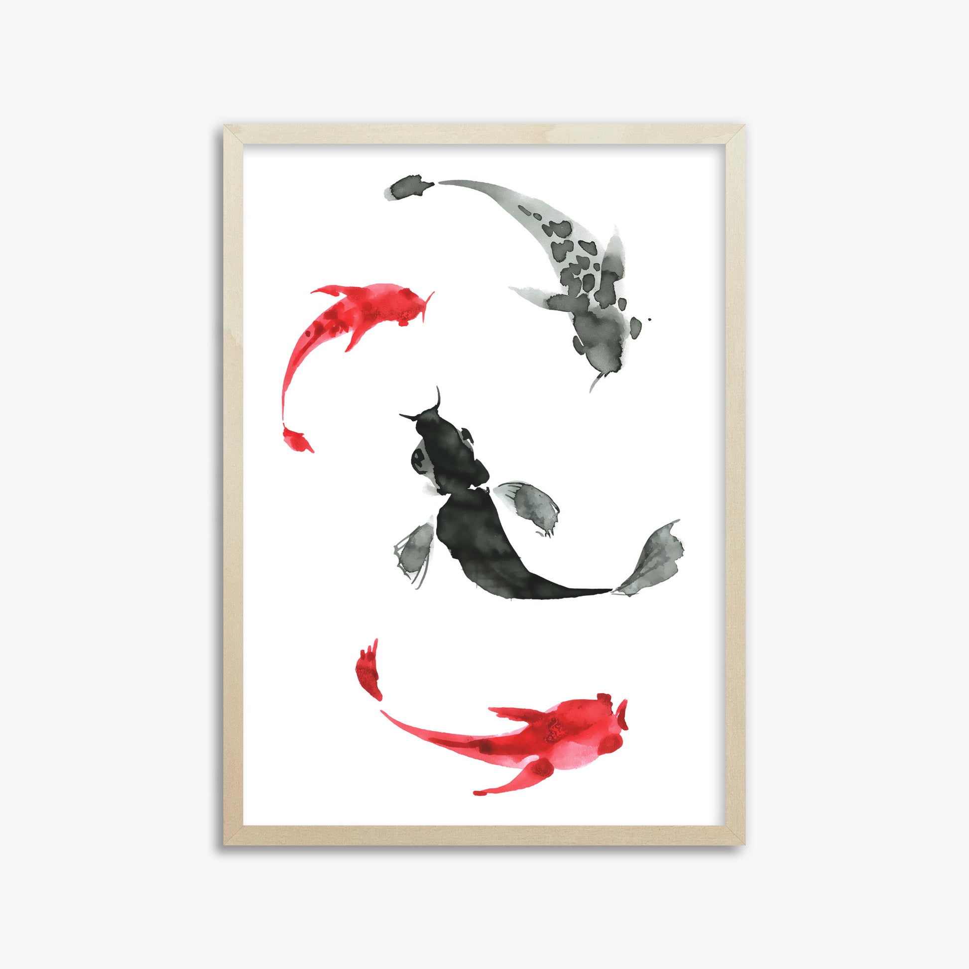 Koi Circling, 50x70cm Framed Poster With Lime Wood Frame