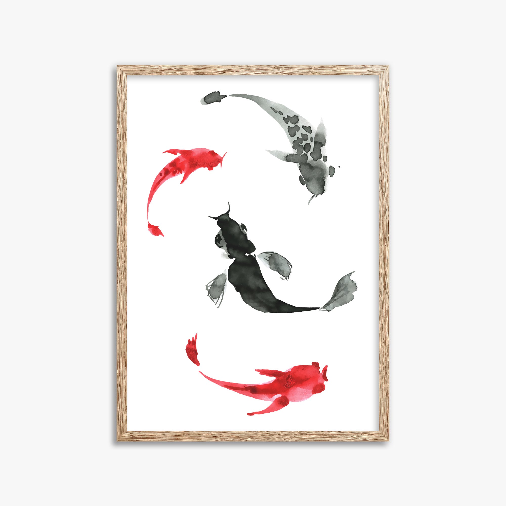 Koi Circling, 50x70cm Framed Poster With Raw Oak Frame