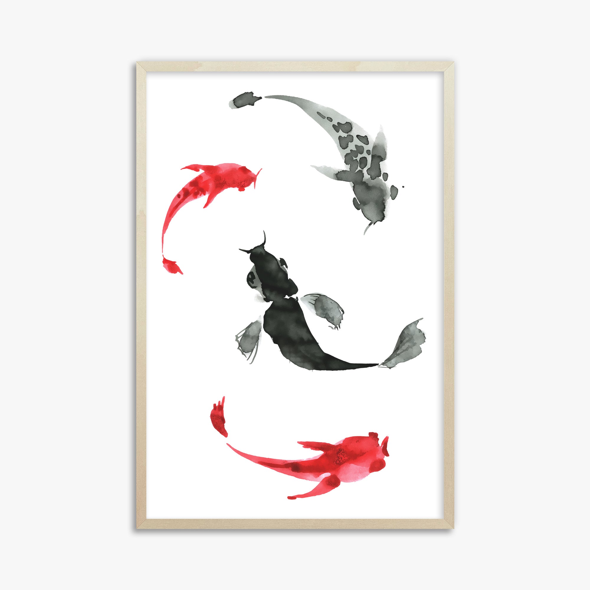 Koi Circling, 61x91cm Framed Poster With Lime Wood Frame