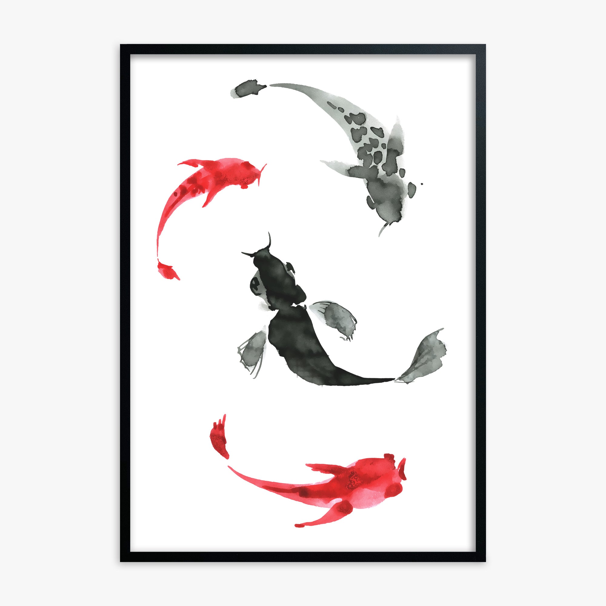 Koi Circling, Black Framed Poster With Black Frame