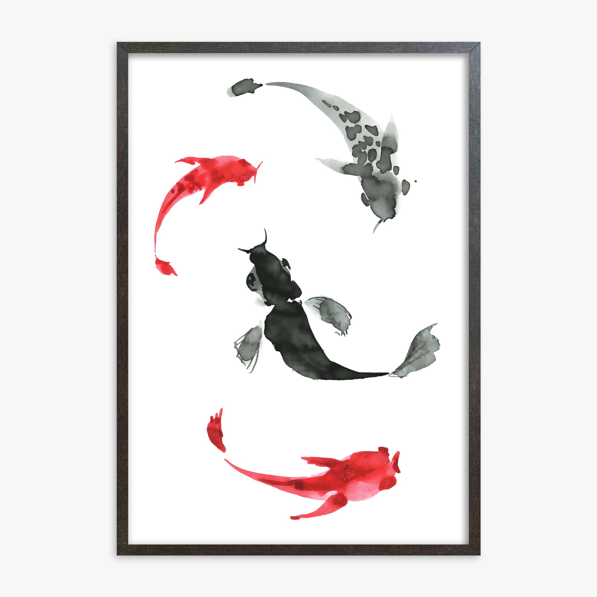 Koi Circling, 70x100cm Framed Poster With Espresso Frame