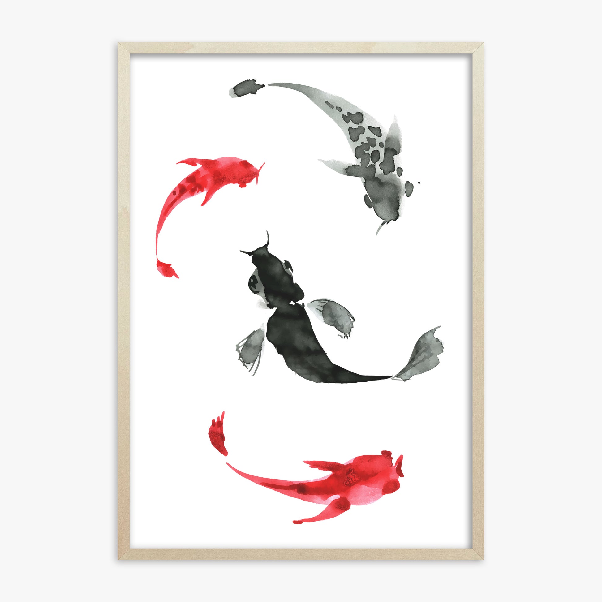 Koi Circling, 70x100cm Framed Poster With Lime Wood Frame