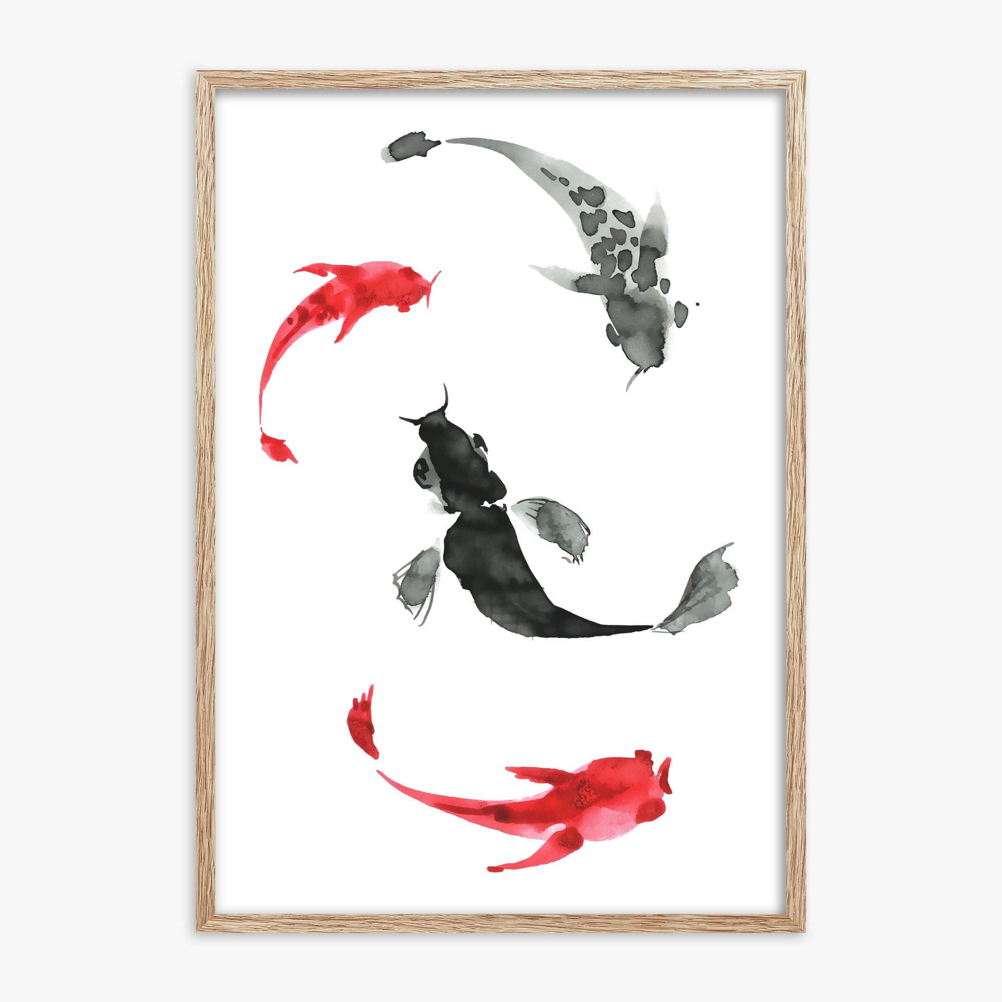Koi Circling, 70x100cm Framed Poster With Raw Oak Frame