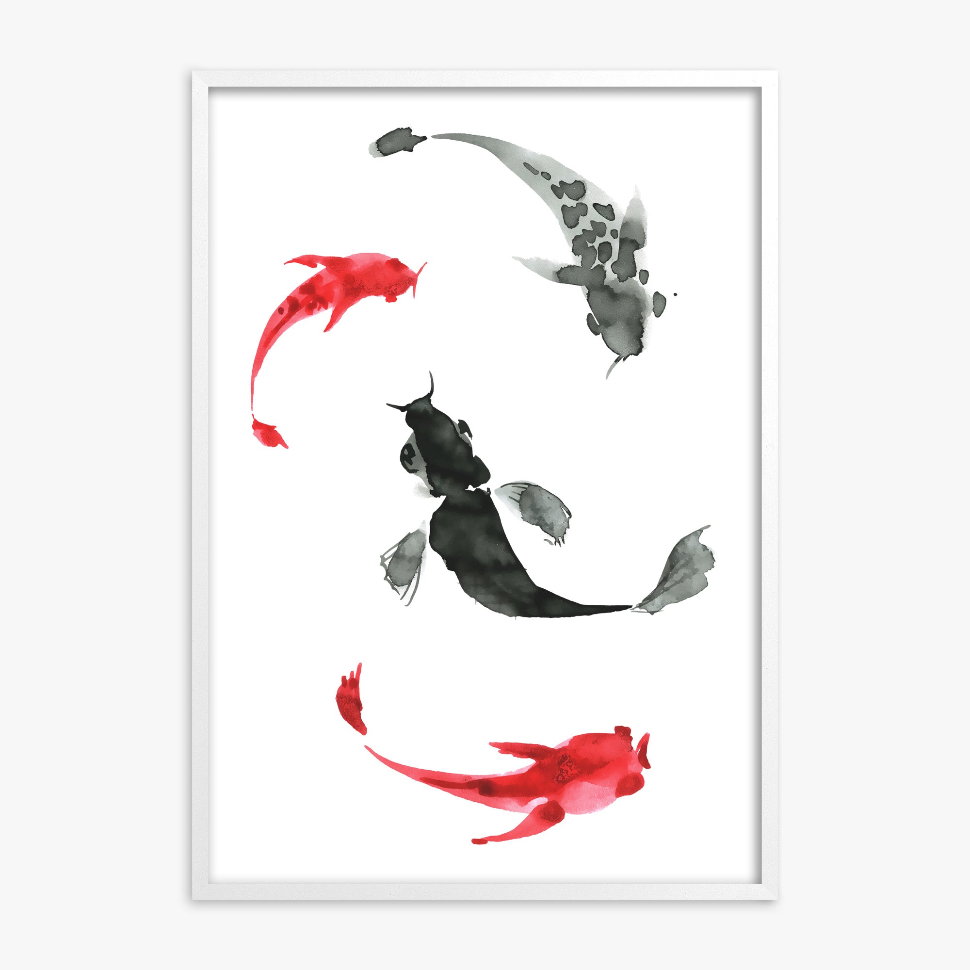 Koi Circling, White Framed Poster With White Frame