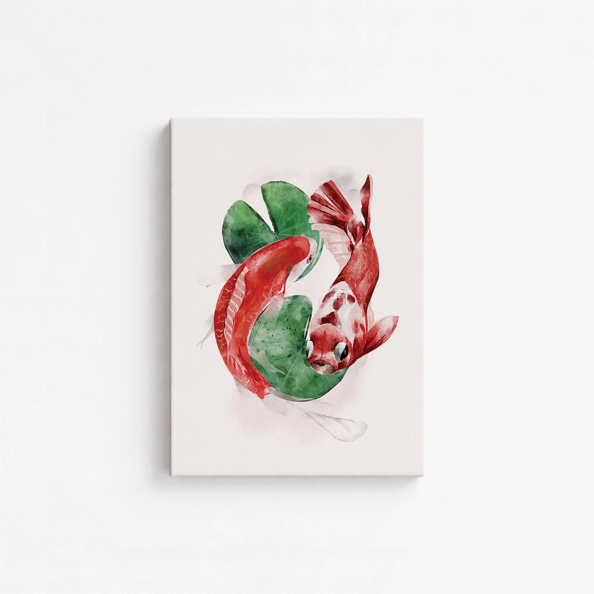 Koi