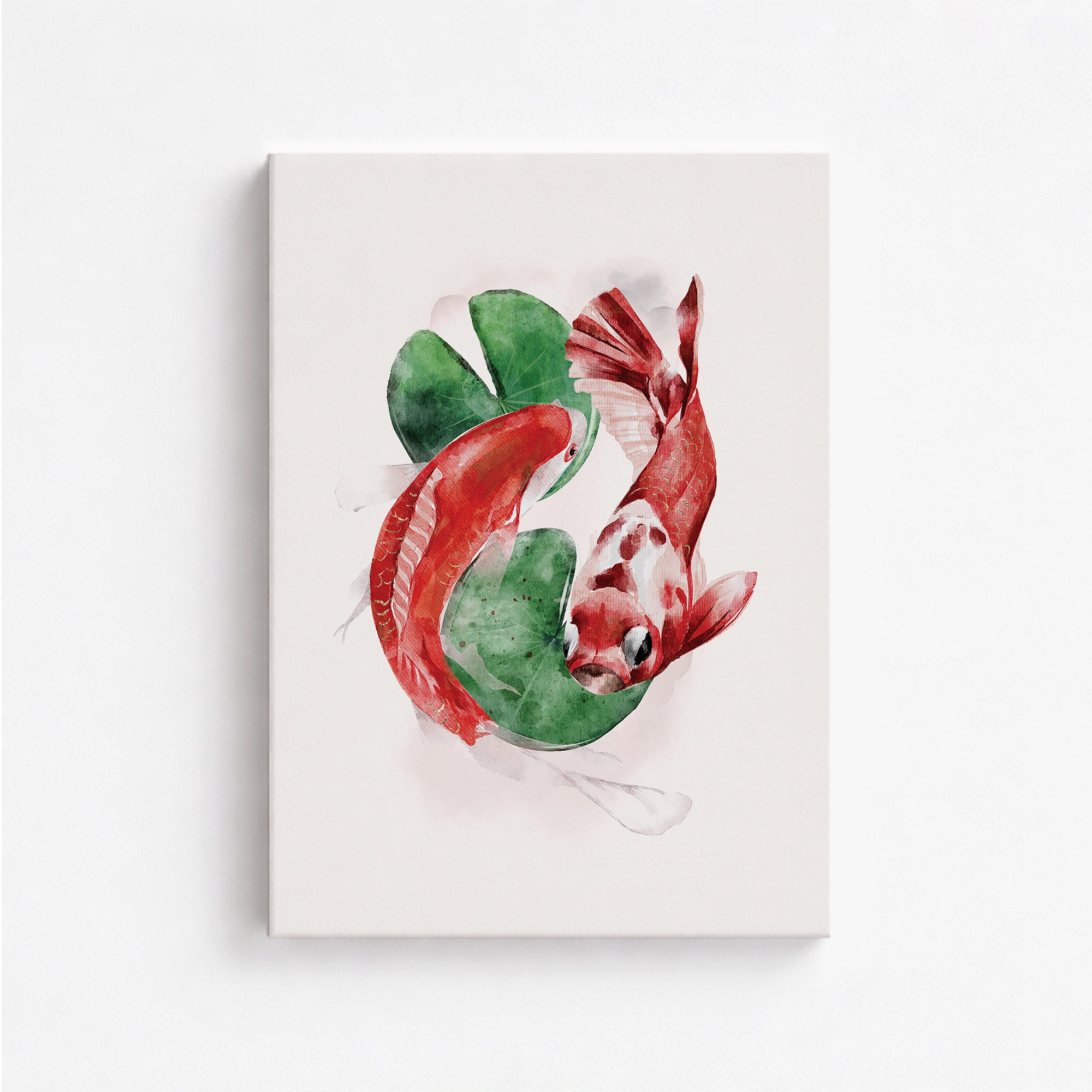 Koi