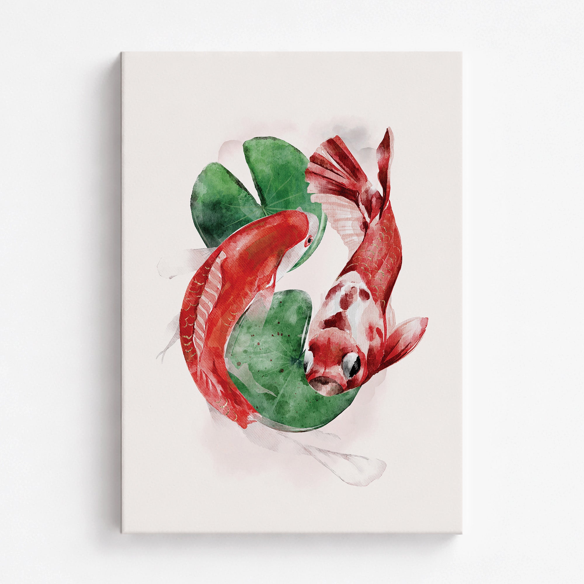 Koi