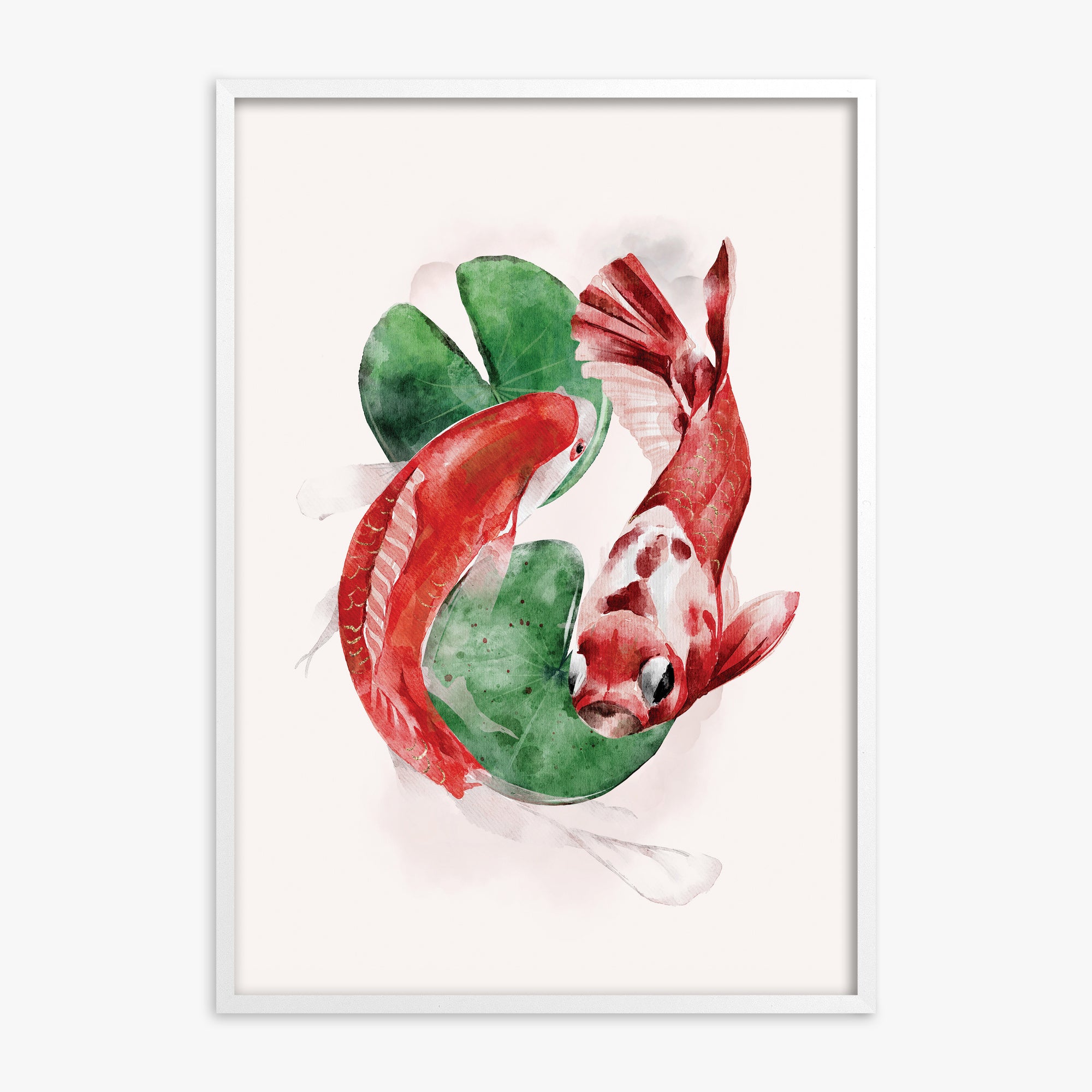 Koi, White Framed Poster With White Frame