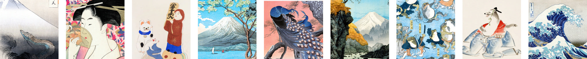 collection-banner-image